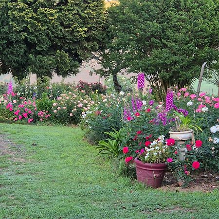 Piccadilly Farm Cottages Lions River Екстериор снимка