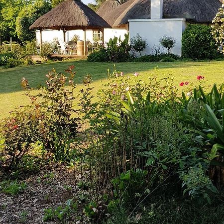 Piccadilly Farm Cottages Lions River Екстериор снимка