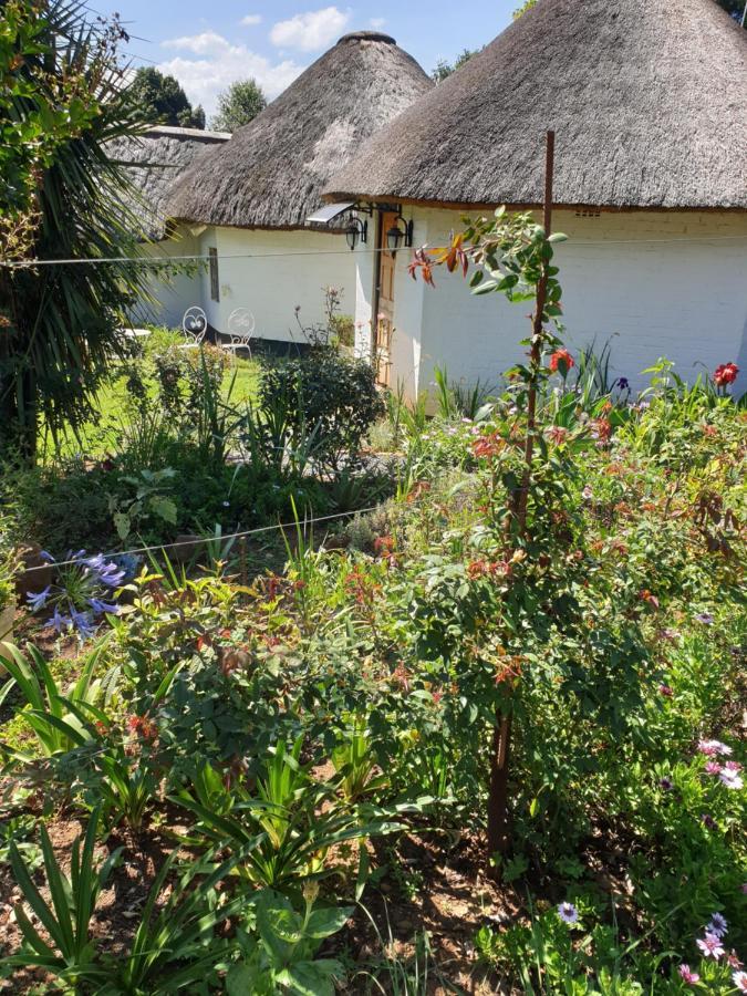Piccadilly Farm Cottages Lions River Екстериор снимка