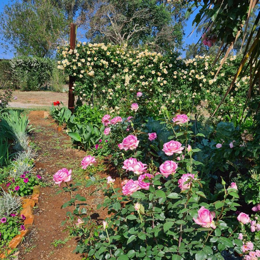 Piccadilly Farm Cottages Lions River Екстериор снимка