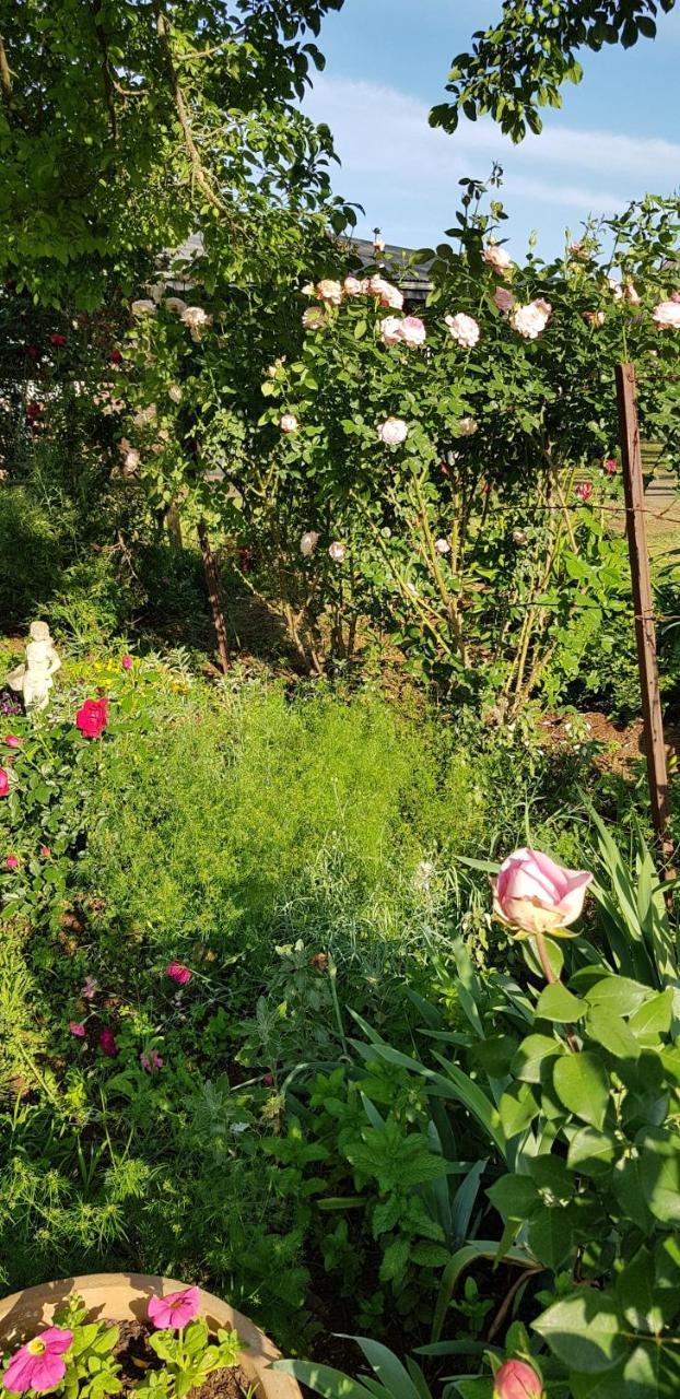 Piccadilly Farm Cottages Lions River Екстериор снимка