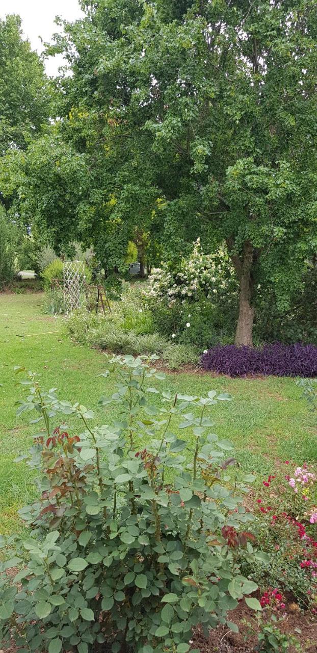 Piccadilly Farm Cottages Lions River Екстериор снимка